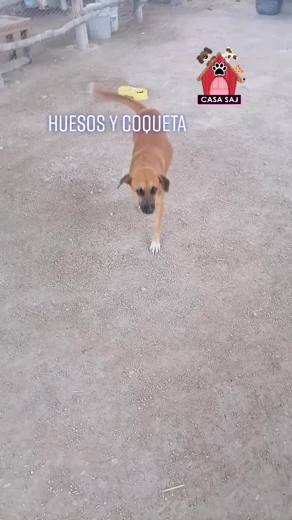 @CasaSAJ