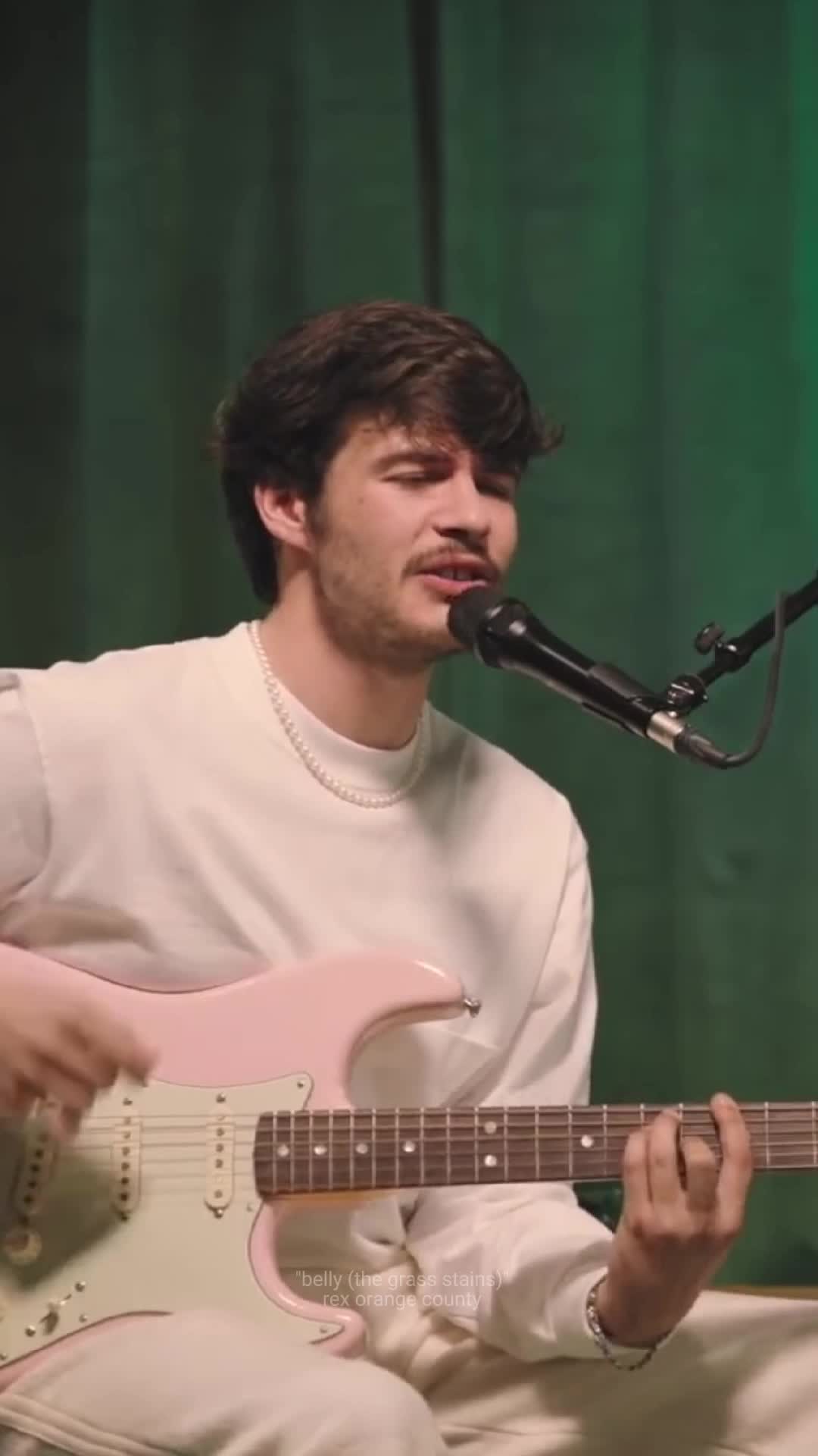 @rex 🦖