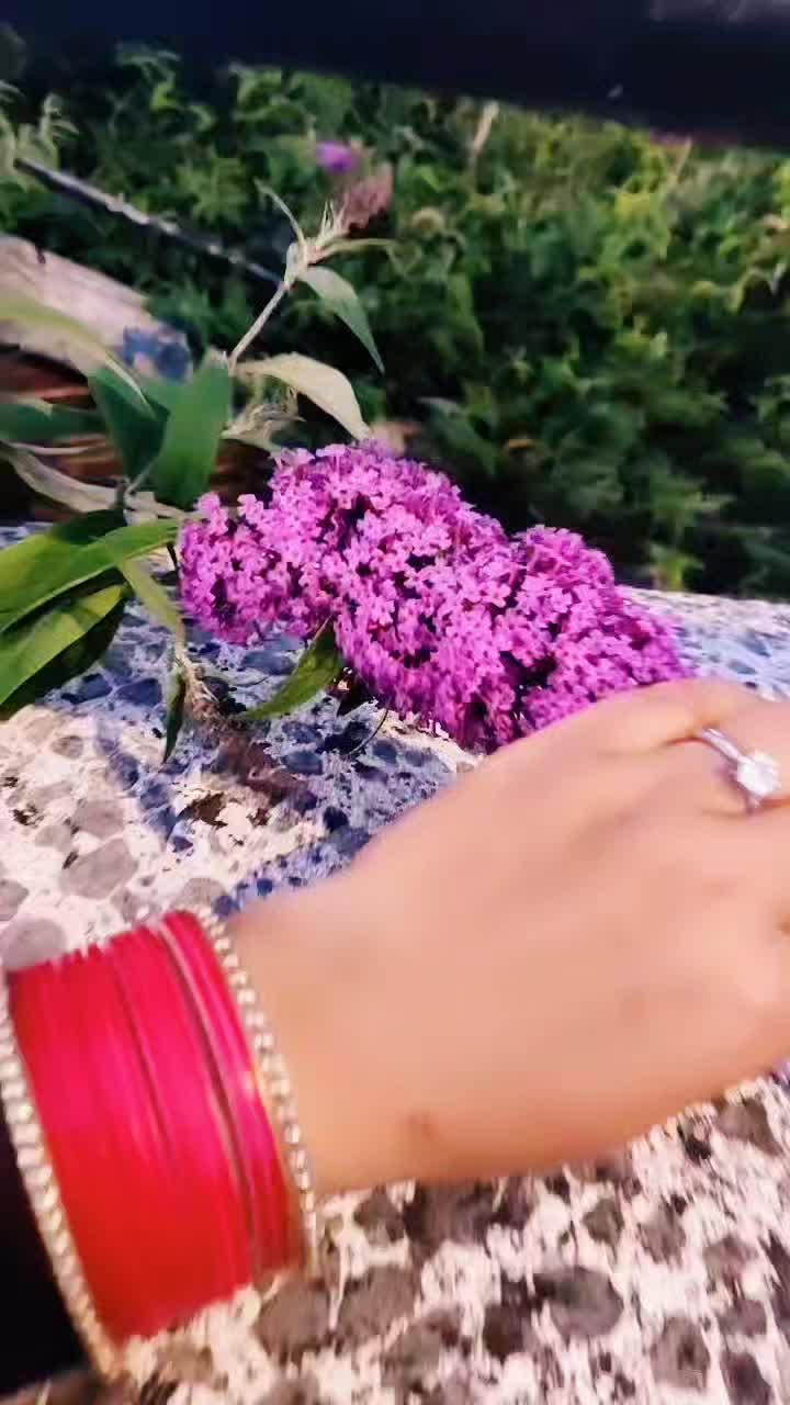 @Nidhi Yaduvanshi