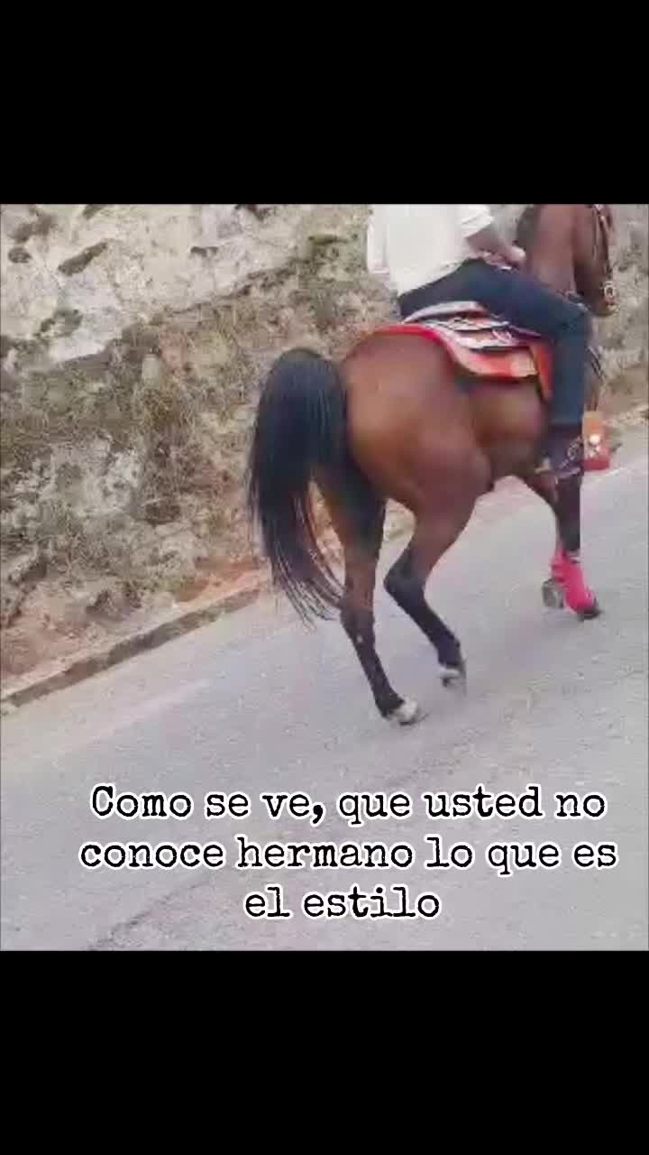 @gio_loja 𐚁Ω🐎