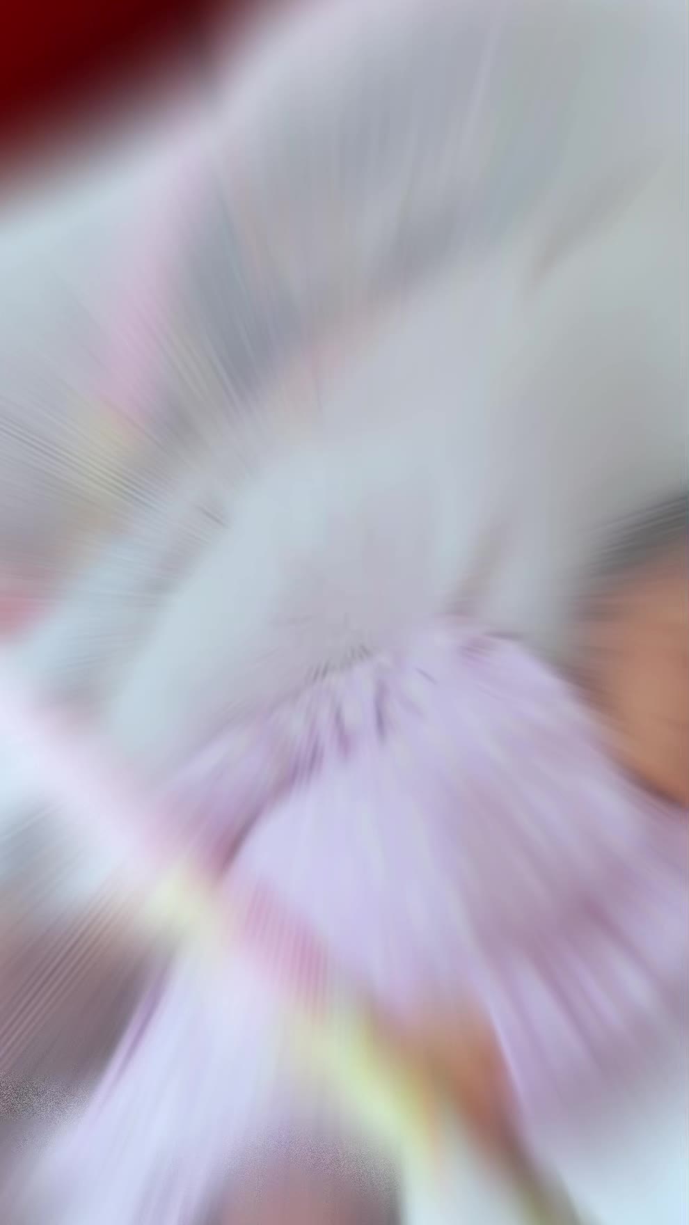 @🦋Saraï🦋