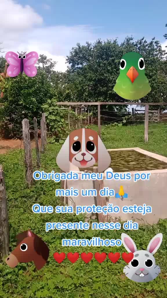 @elis luiza