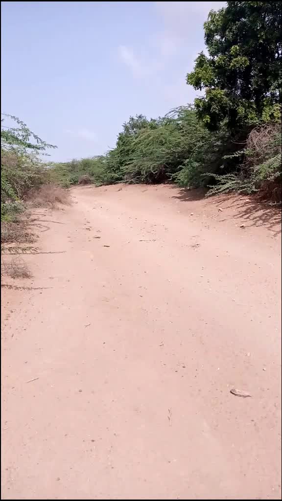 @s.h.sumra786
