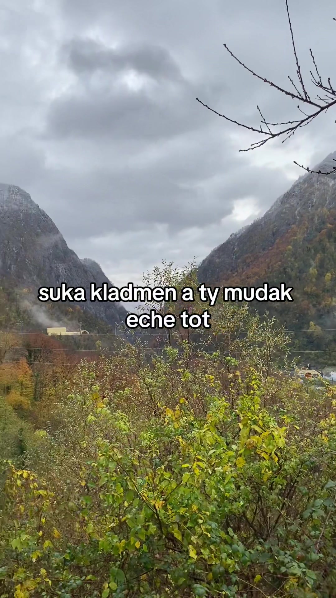 @ликорис