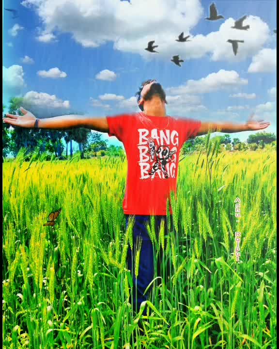 @Ashray Singh Chauhan