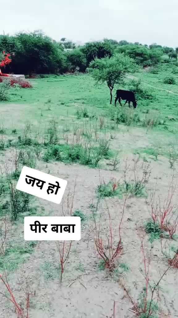 @Durgesh Parmar