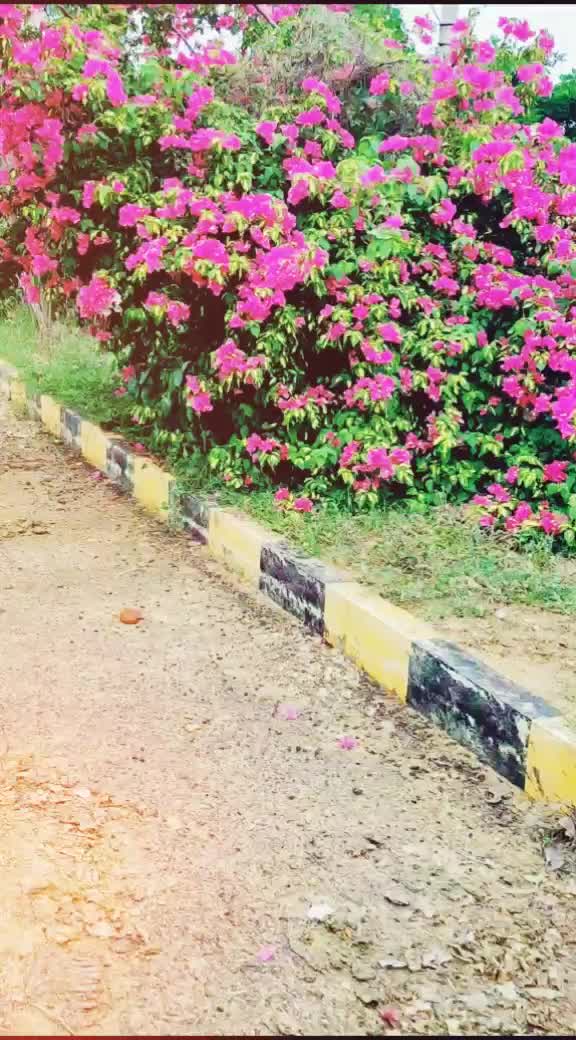 @Ravi Nani