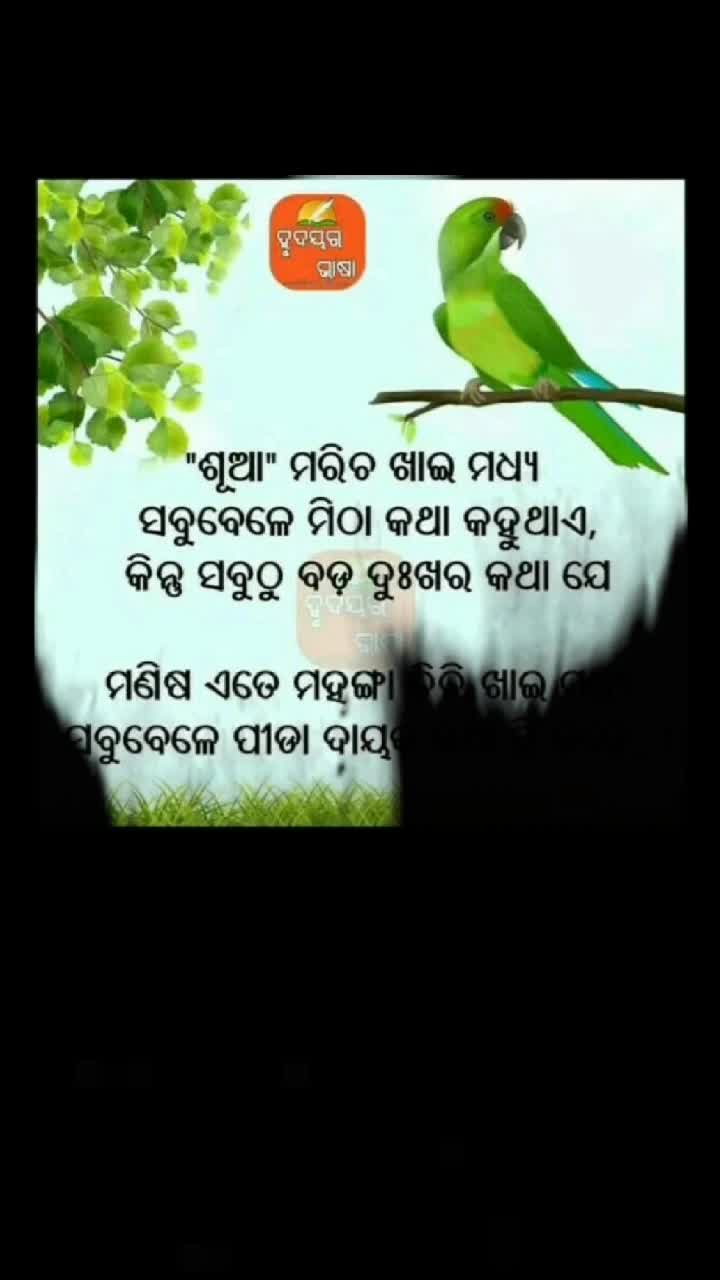@Sunita