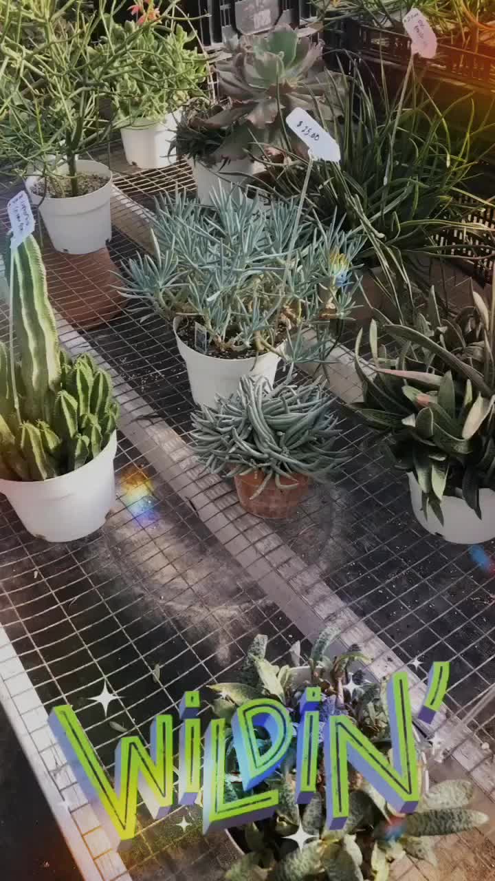 @em 🌿