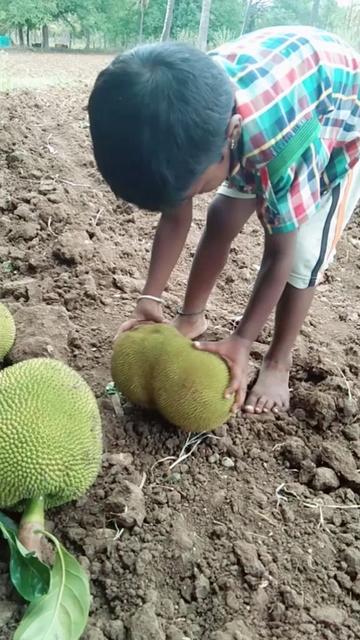 @❤ಭೂಮಿ🌍ಪುತ್ರ😍G.G🔥