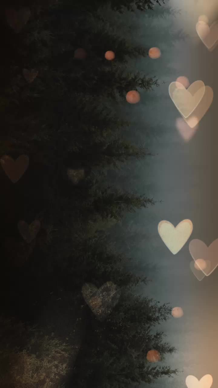@sowmyamohanaga