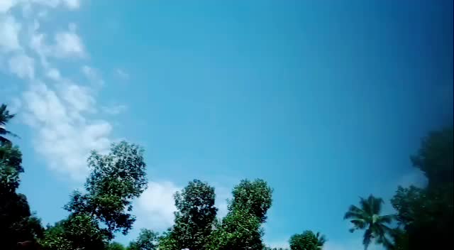 @user47481766117