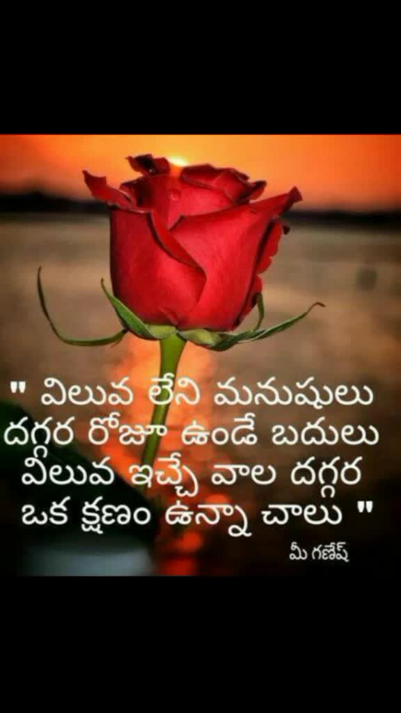 @Saritha Reddy