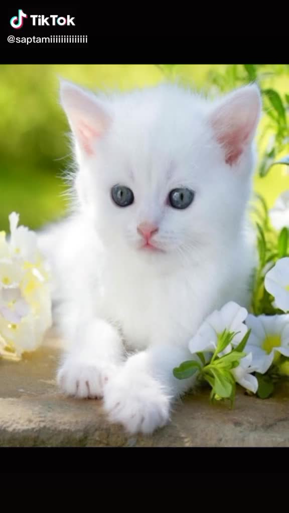 @chinni minchu