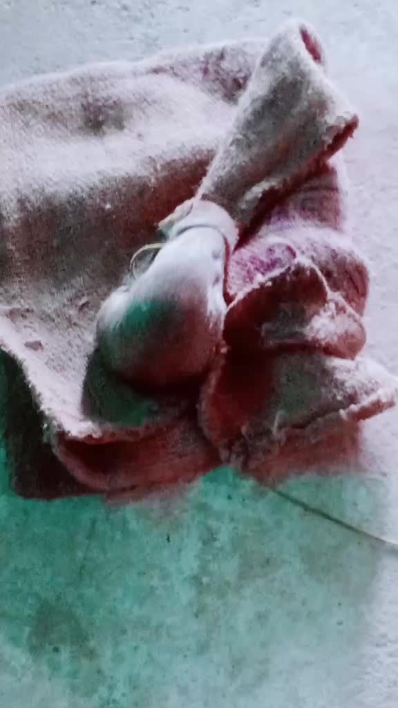 @user271460