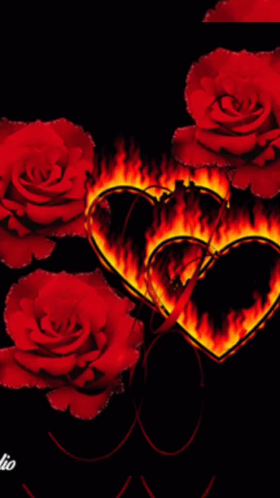 @rovsencebiyev595
