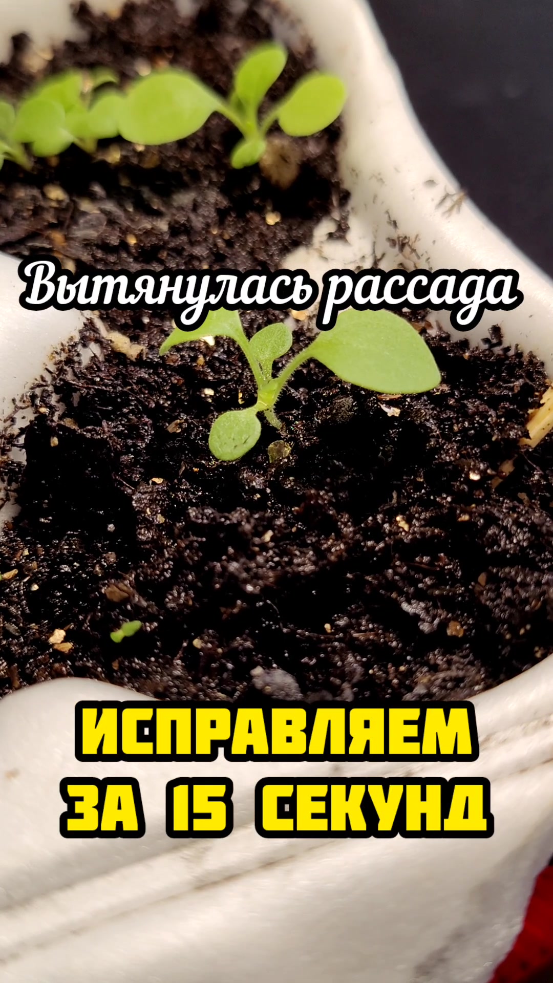 @Sad