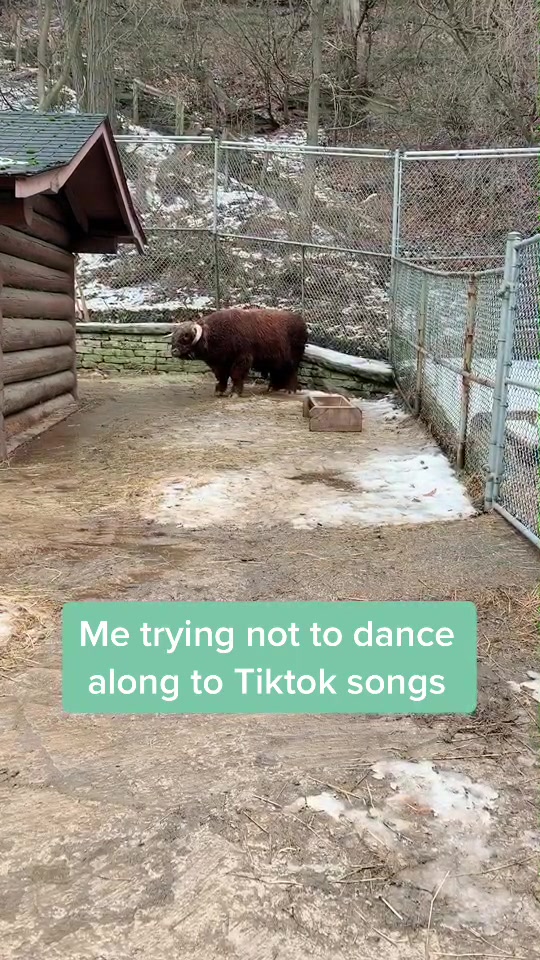 @Emily Sobkowiak
