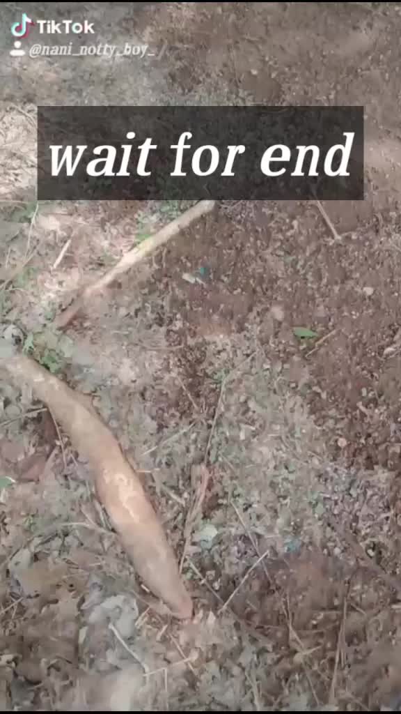 @nani_notty_boy_
