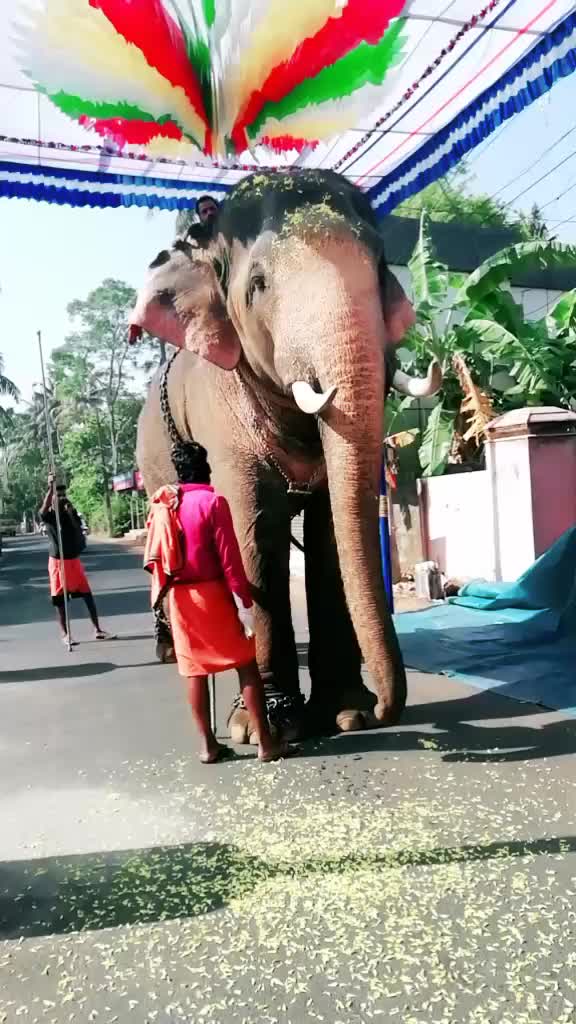 @Vishnu Dhath