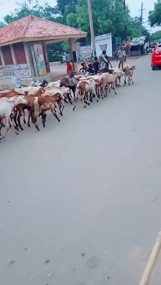 @Sathis Kumar