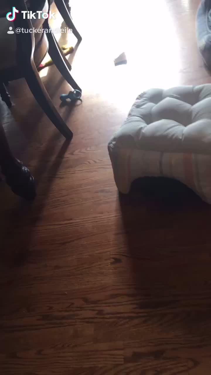 @Tuckerpuppy