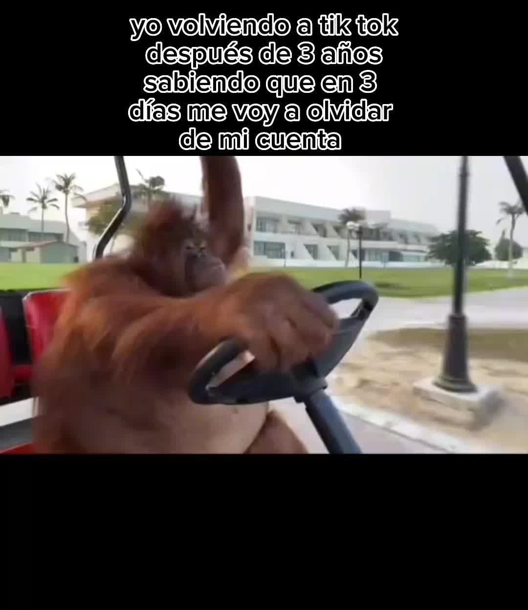 @mau