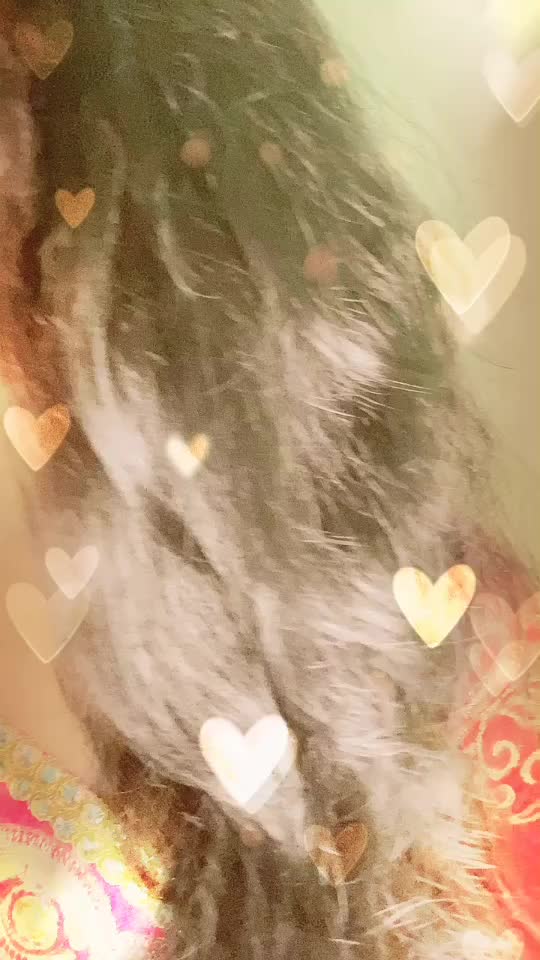 @Sradha Panigrahi