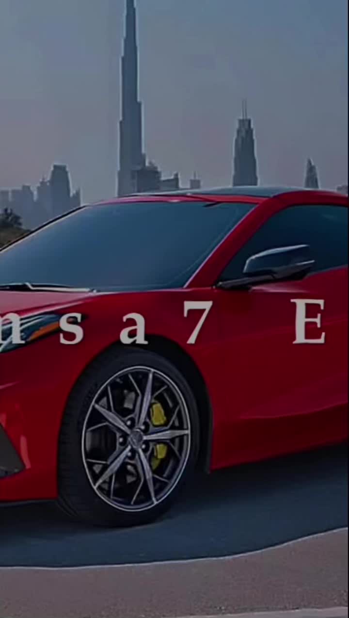 @تیمساح تیک تۆک 🐊