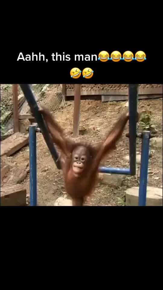 @Vj.Q