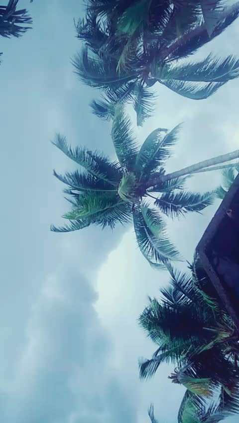 @Nithya Ammus