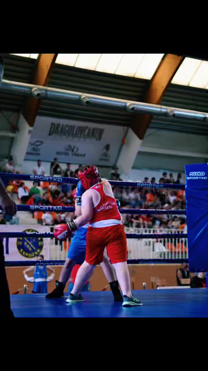 @Dzan__curic 🥊🥊