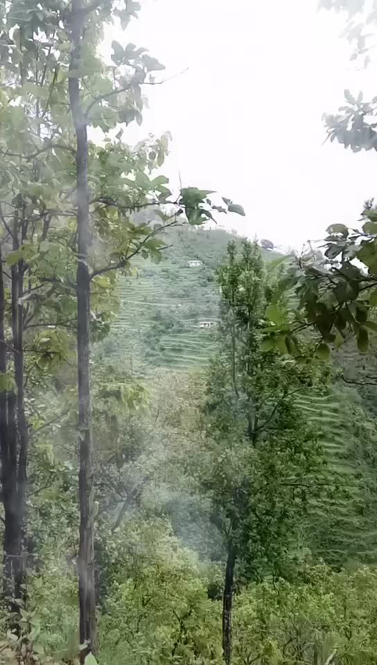 @user8622207492925
