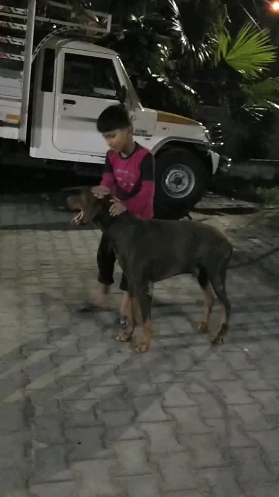@dd_jaykar