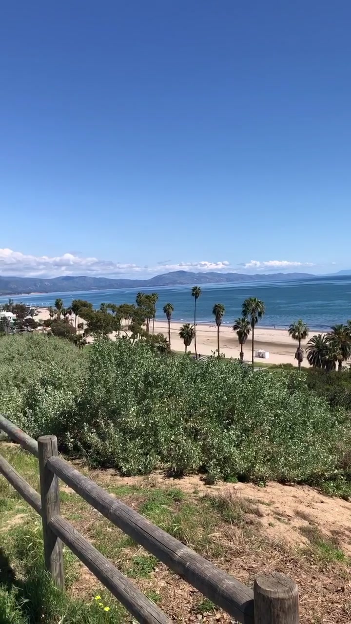 @MorganForReals