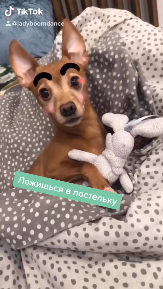 @Диляра Замалетдинова