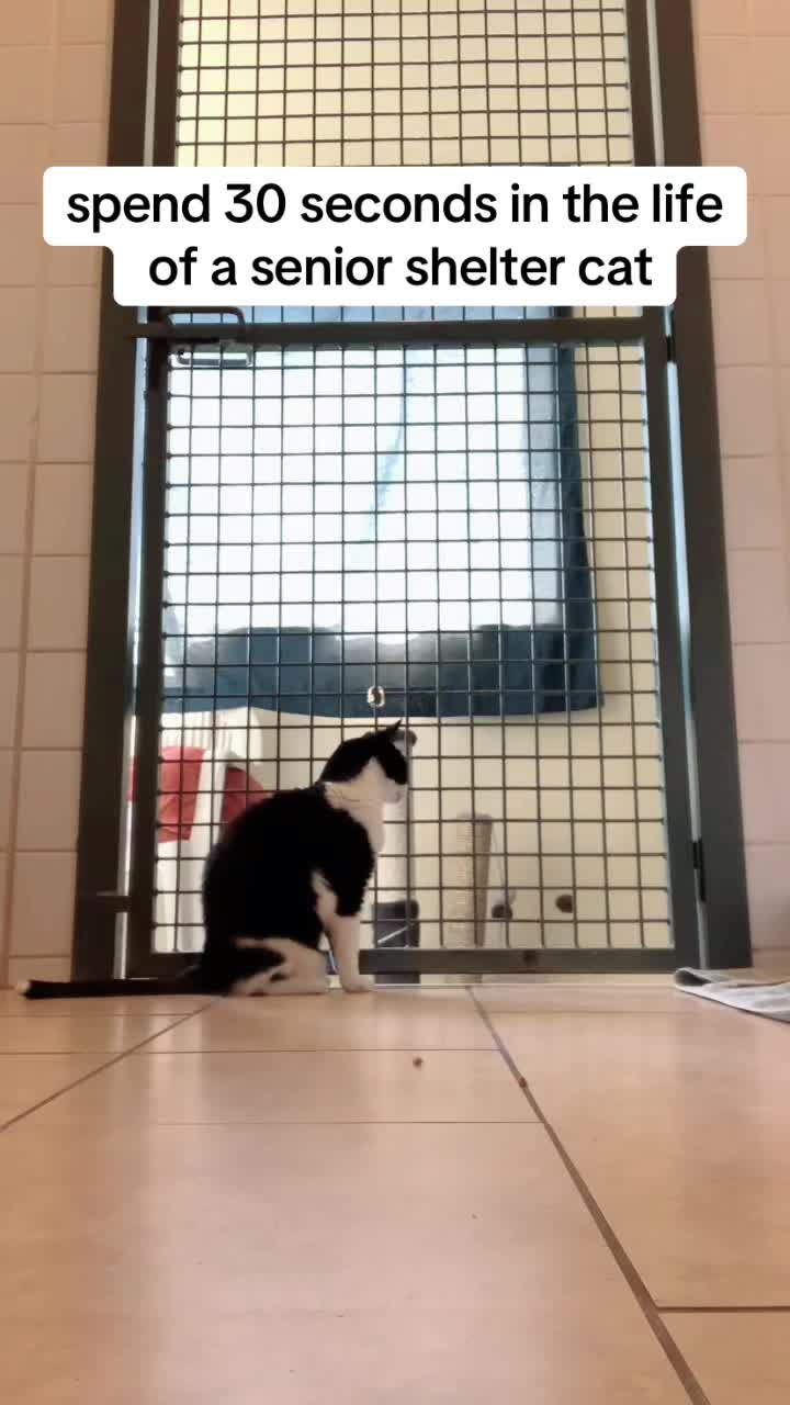 @Mackenzo ✝️