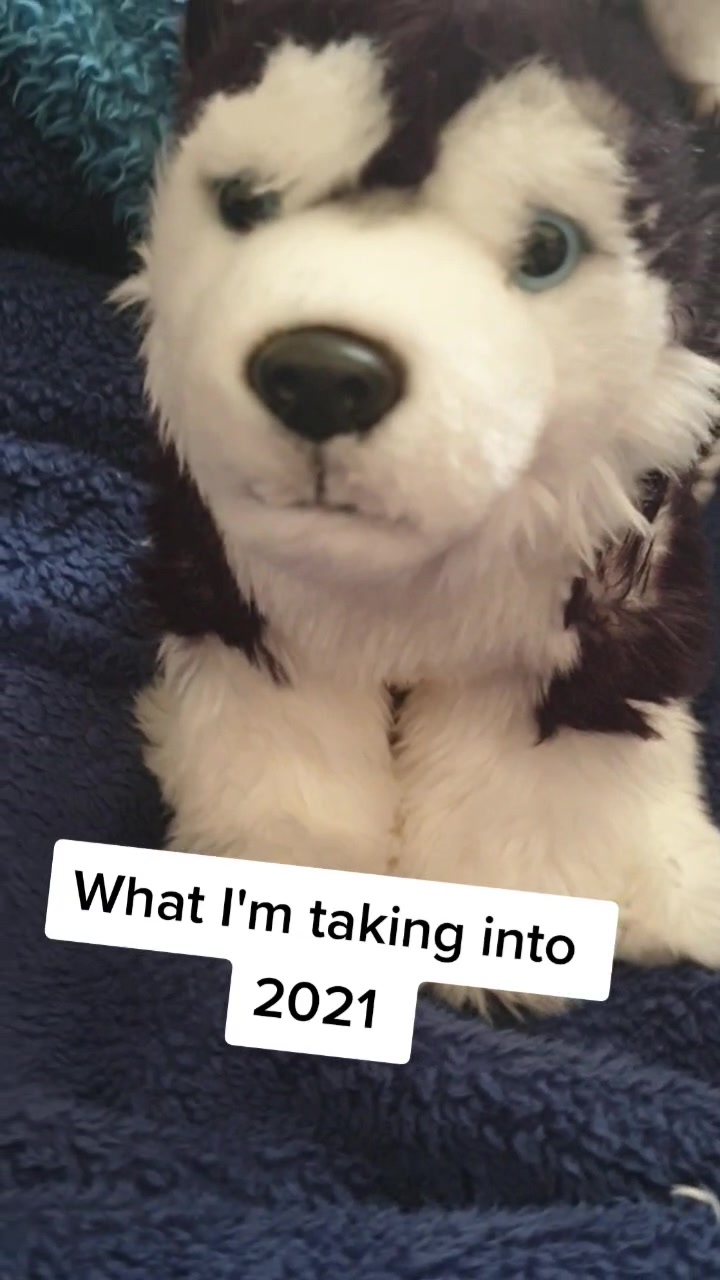 @Wolfy Ted