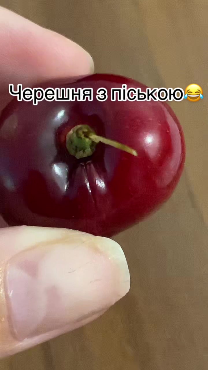 @I.am.kozerog