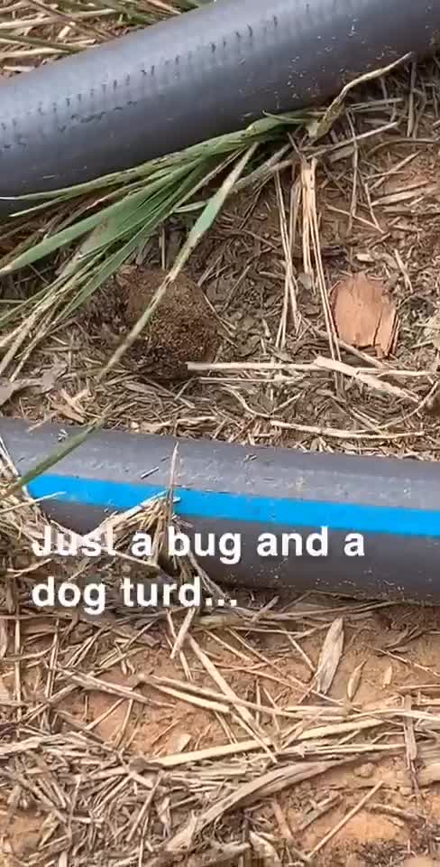 @Bubba B