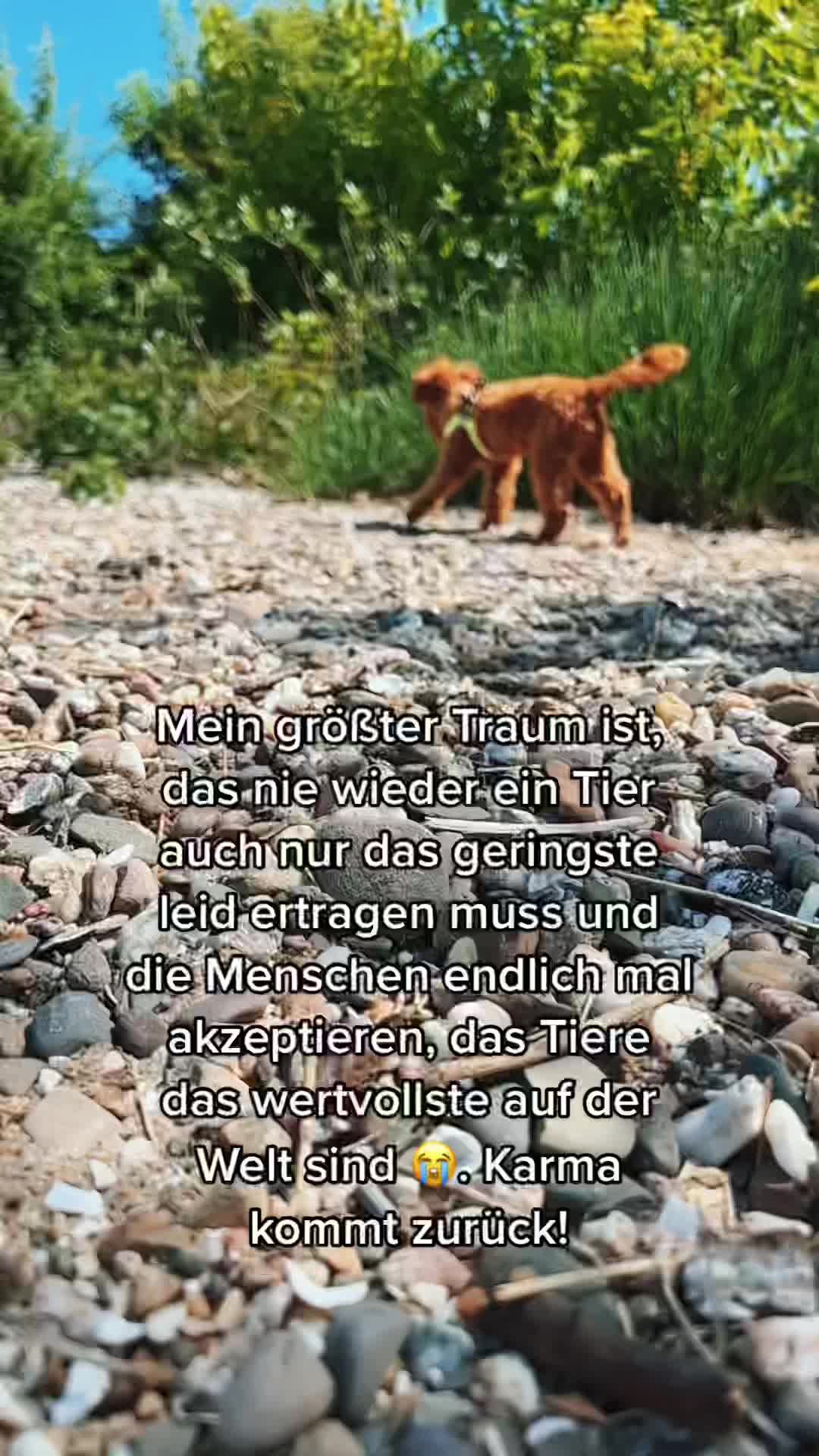 @Rosi🍀