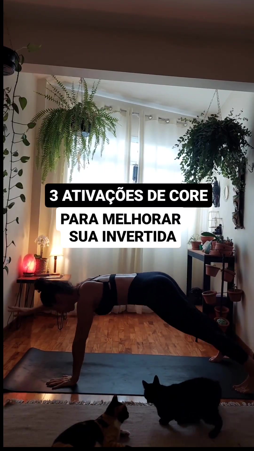 @Luana Plank