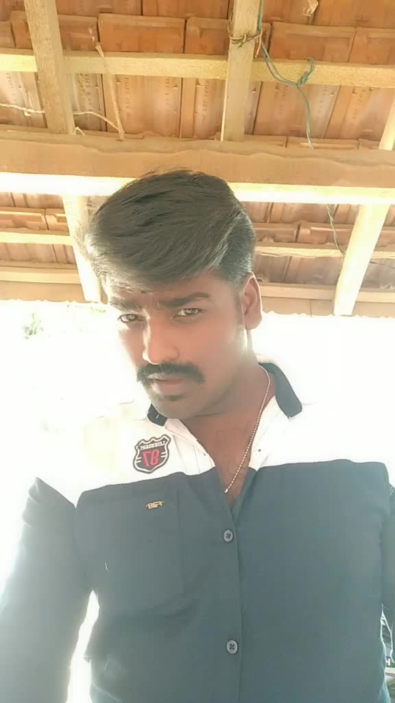 @Chandru Cat
