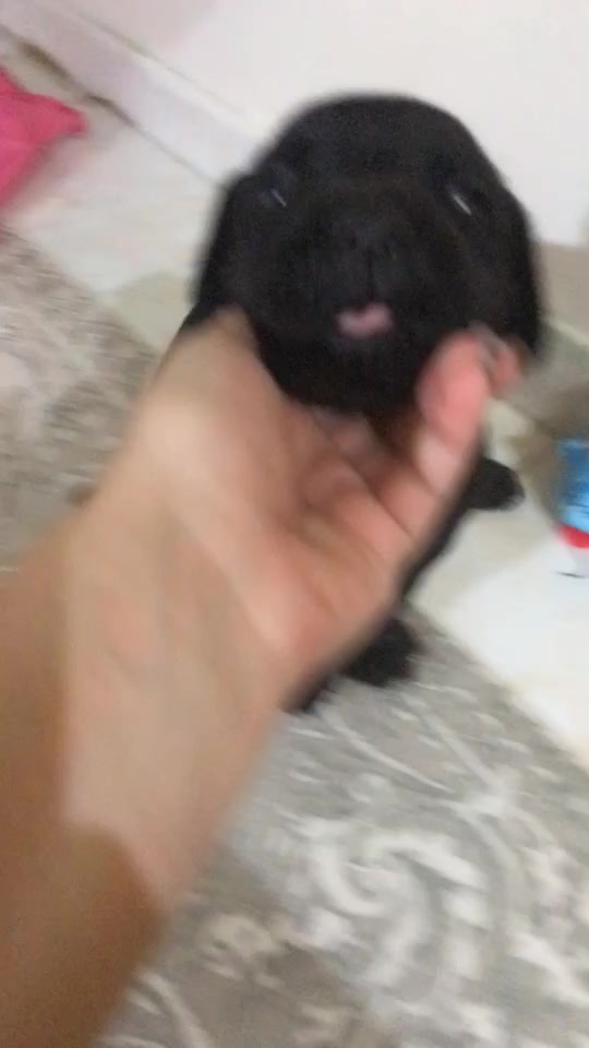 @Mert Büşra Yıldıran