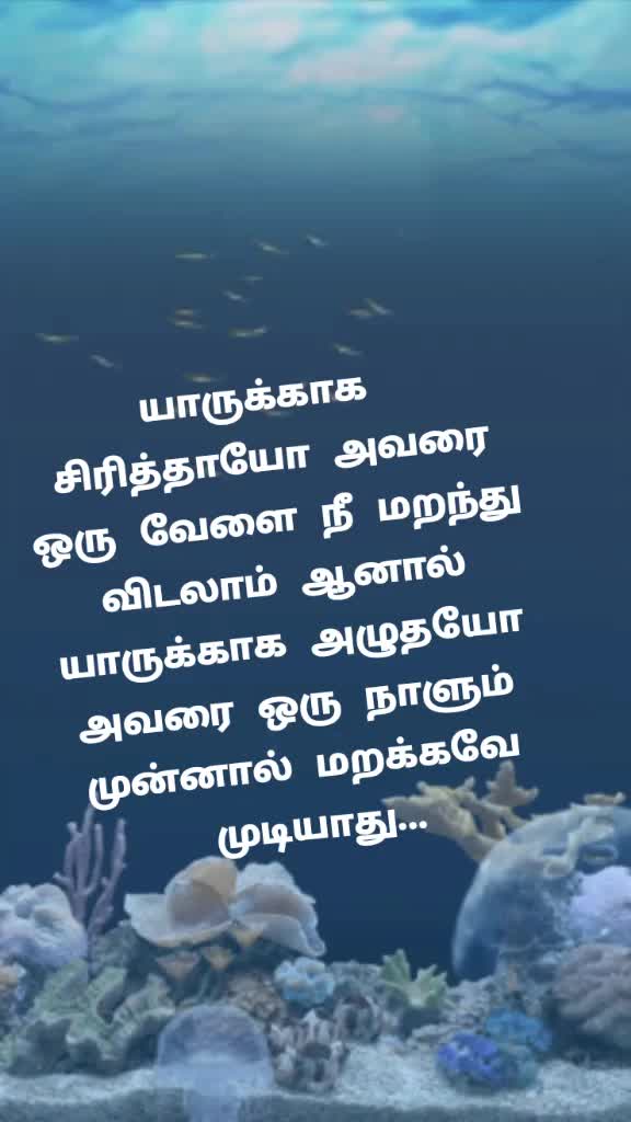 @kumar j