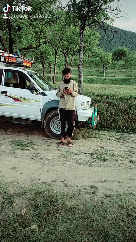 @yawar gull