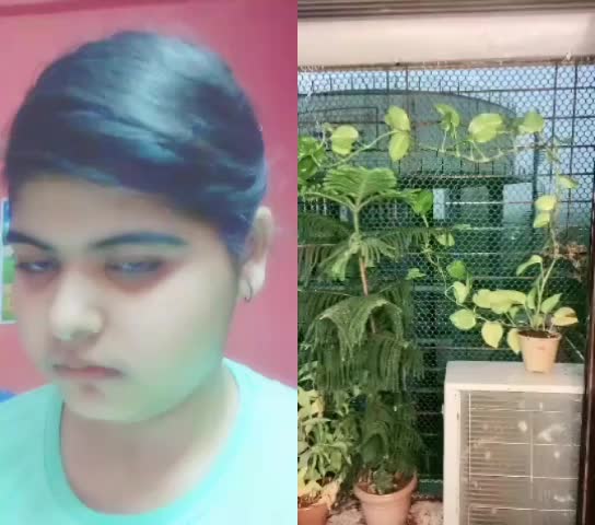@BhavikaChauhan