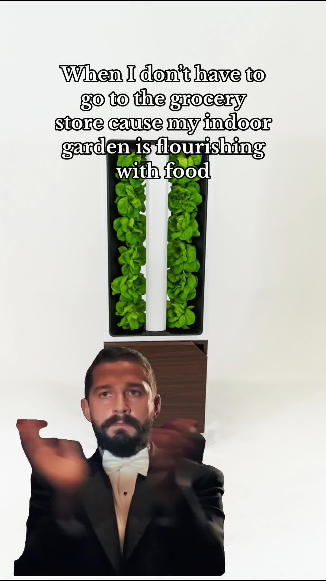 @Just Vertical