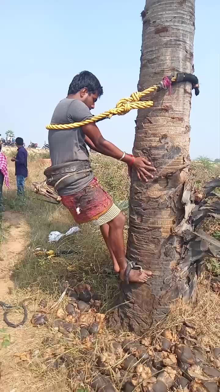 @user2059485546306