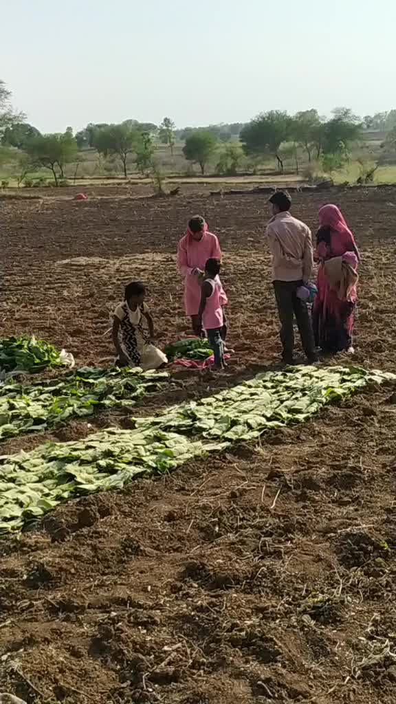 @user52970610659